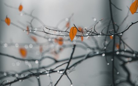 Khwab Mein Barish Dekhnay Ki Tabeer in Urdu