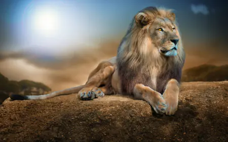 Khwab mein Shair Dekhna ki Tabeer in Urdu