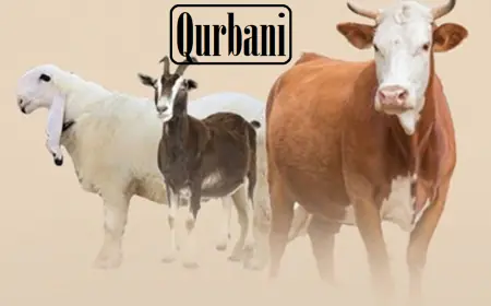 Khwab mein Qurbani Karna Dekhna Ki Tabeer in Urdu