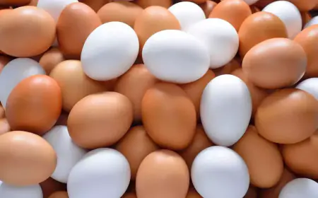 Khwab Mein Anda Egg Dekhna ki Tabeer in Urdu