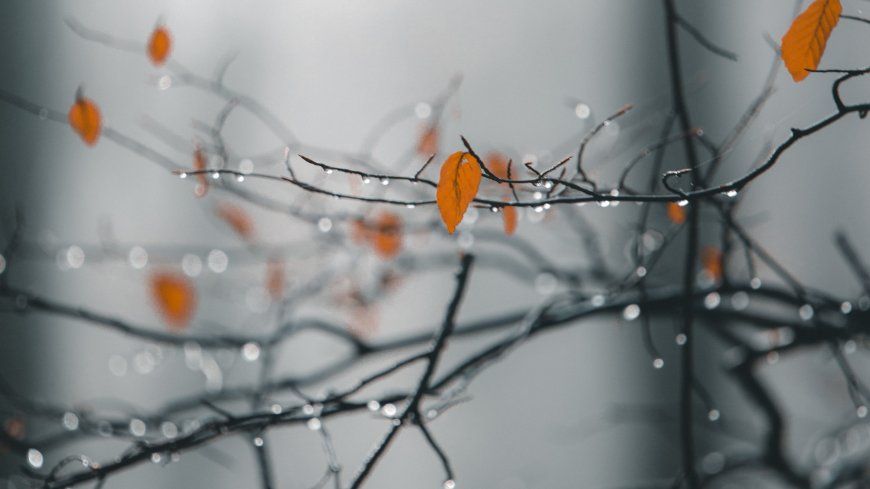 Khwab Mein Barish Dekhnay Ki Tabeer in Urdu