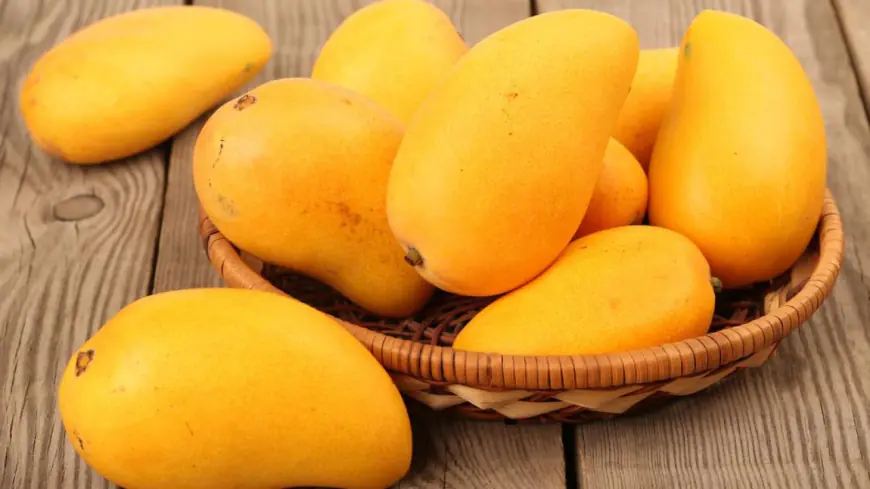 Khwab Mein Aam Mango Dekhna Ki Tabeer in Urdu