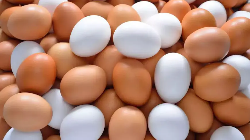 Khwab Mein Anda Egg Dekhna ki Tabeer in Urdu