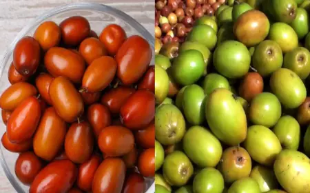 Khwab mein Bair Dekhna Ki Tabeer in Urdu