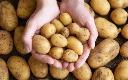 Khwab mein Aaloo Potato Dekhna Ki Tabeer in Urdu