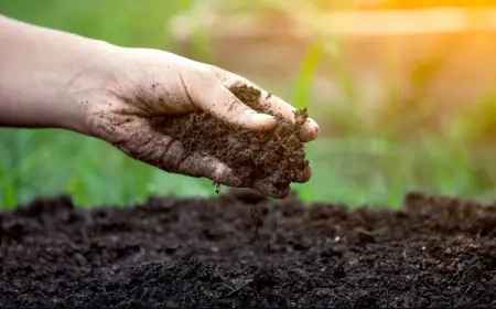 Khwab Mein Mitti Dekhna ki Tabeer in Urdu