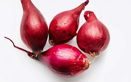 Khwab mein Pyaz Dekhna Ki Tabeer in Urdu