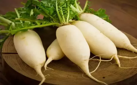 Khwab mein Mooli Dekhna Ki Tabeer in Urdu