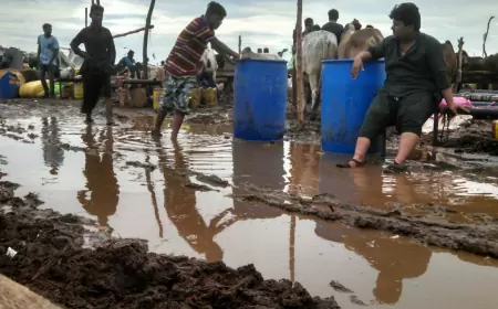 Khwab Mein Keechar Dekhna ki Tabeer in Urdu