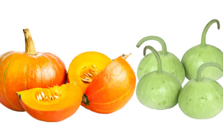 Khwab Mein Kaddu Dekhna ki Tabeer in Urdu