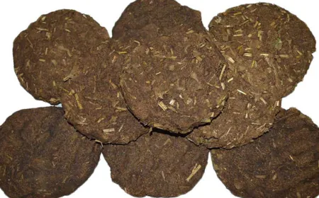 Khwab Mein Gobar Dekhna ki Tabeer in Urdu