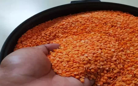 Khwab mein Masoor Dekhna Ki Tabeer in Urdu