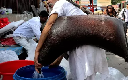 Khwab mein Pani wali Mashk Dekhna ki Tabeer in Urdu