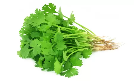 Khwab mein Dhaniya Dekhna Ki Tabeer in Urdu