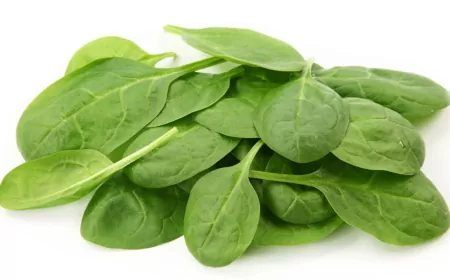 Khwab mein Palak Spinach Dekhna Ki Tabeer in Urdu