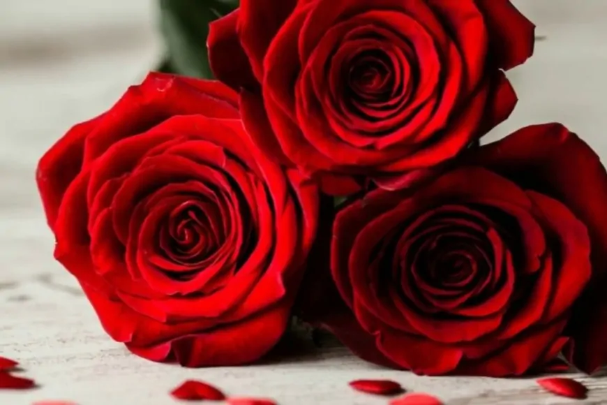 Khwab Mein Gulab Dekhna Ki Tabeer in Urdu